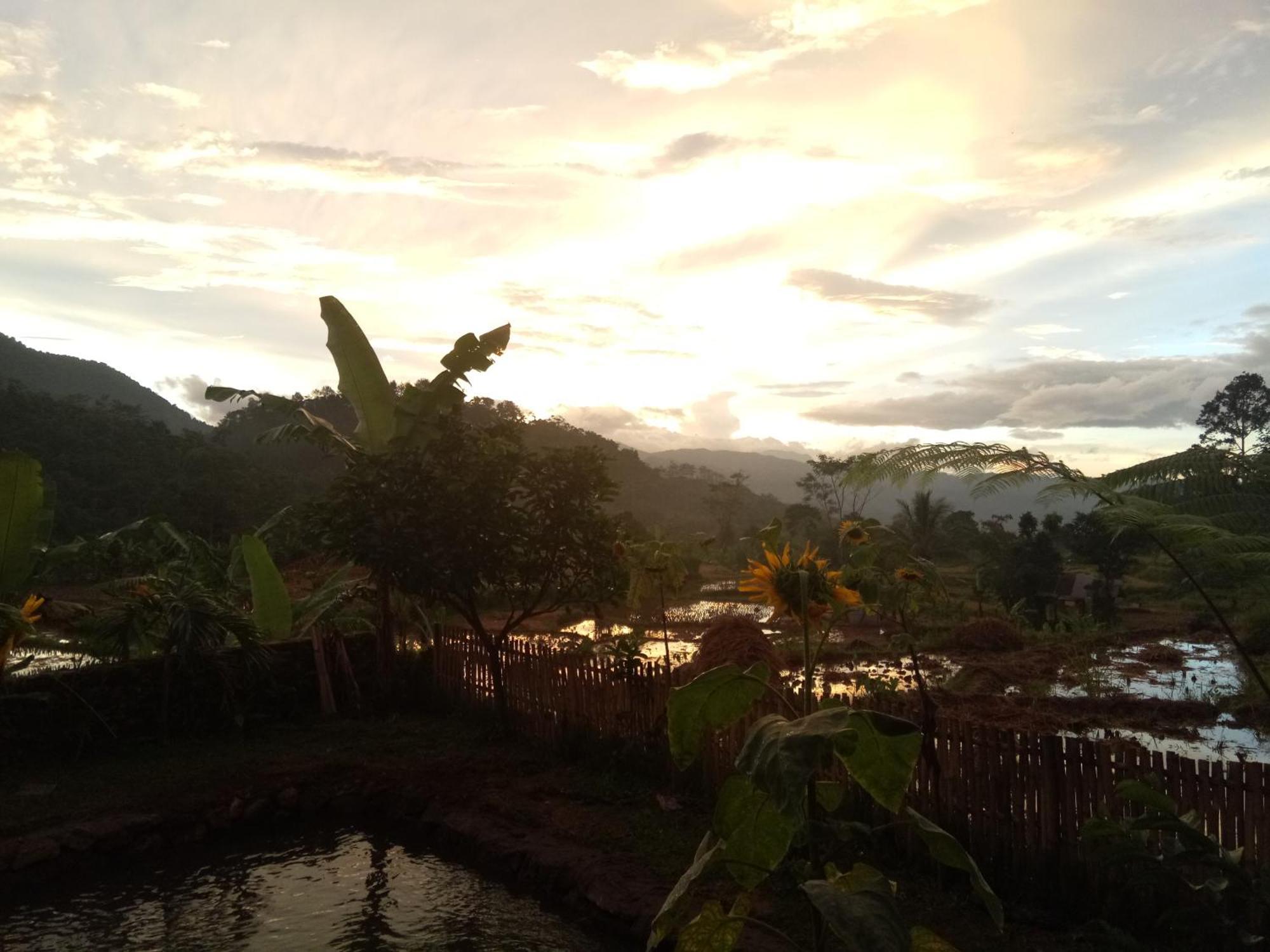De Salak Homestay *