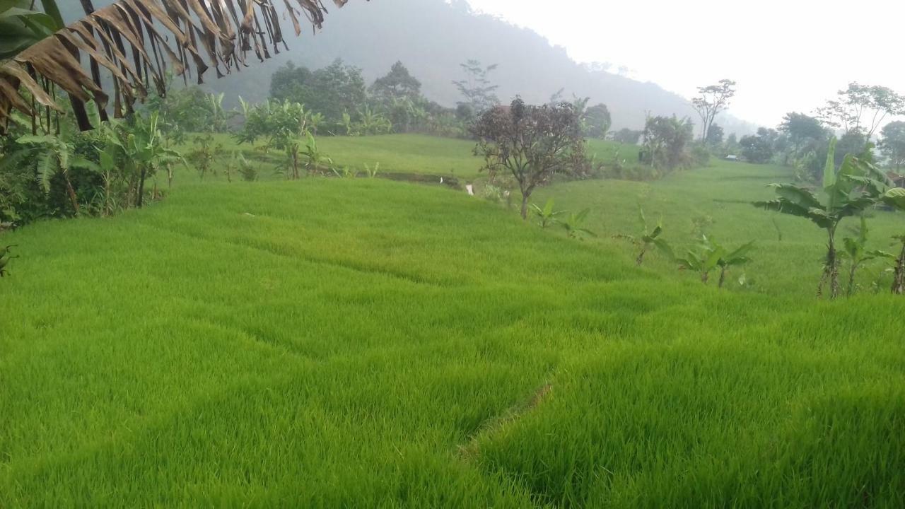 De Salak Bogor