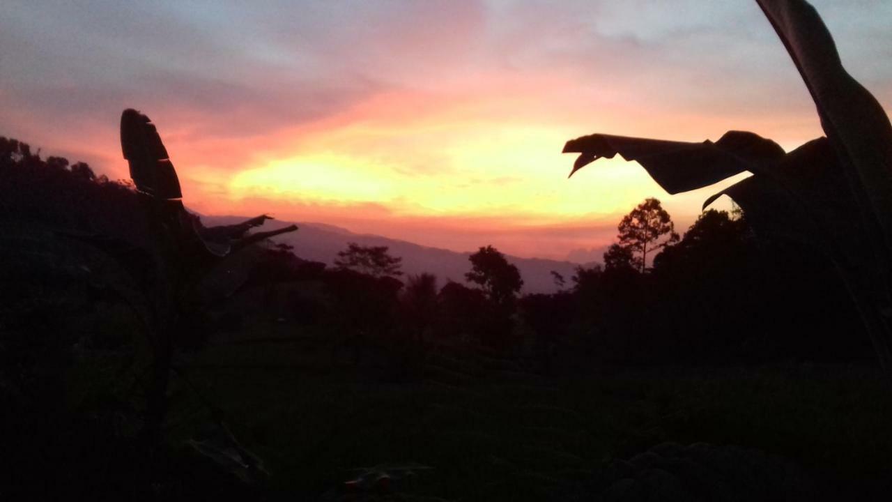 De Salak